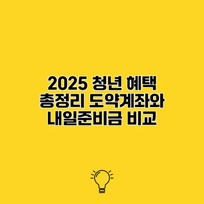 2025 청년 혜택 총정리 도약계좌와 내일준비금 비교