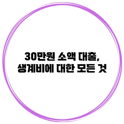 30만원 소액 대출, 생계비에 대한 모든 것