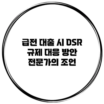급전 대출 시 DSR 규제 대응 방안 전문가의 조언