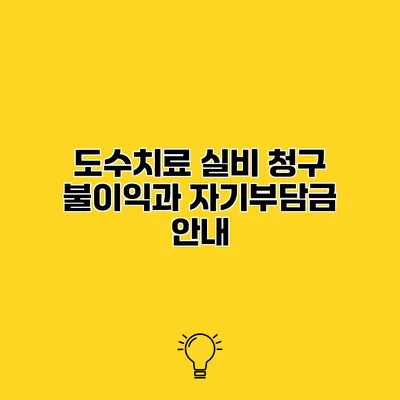 도수치료 실비 청구 불이익과 자기부담금 안내