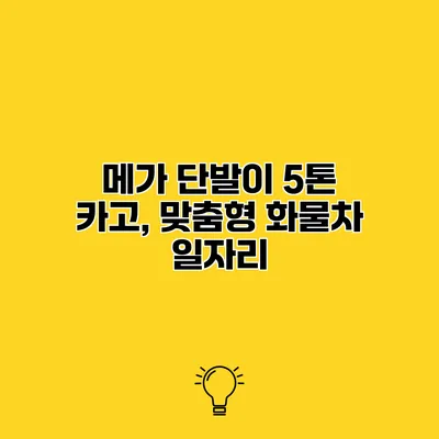 메가 단발이 5톤 카고, 맞춤형 화물차 일자리