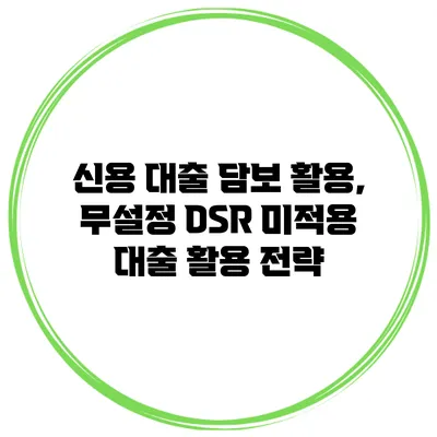 신용 대출 담보 활용, 무설정 DSR 미적용 대출 활용 전략