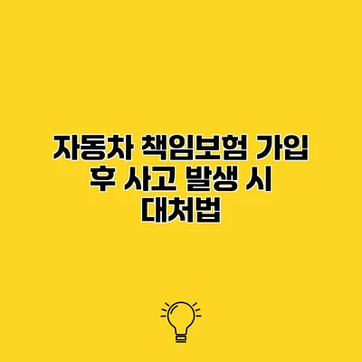 자동차 책임보험 가입 후 사고 발생 시 대처법