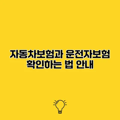 자동차보험과 운전자보험 확인하는 법 안내