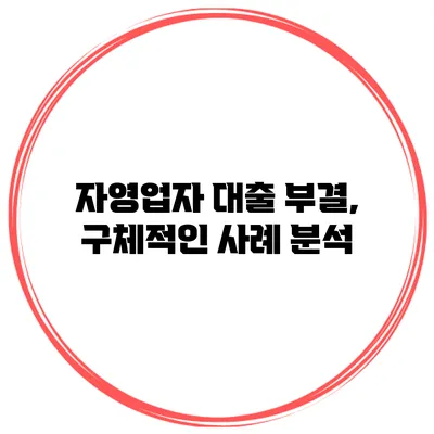 자영업자 대출 부결, 구체적인 사례 분석