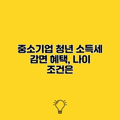 중소기업 청년 소득세 감면 혜택, 나이 조건은?