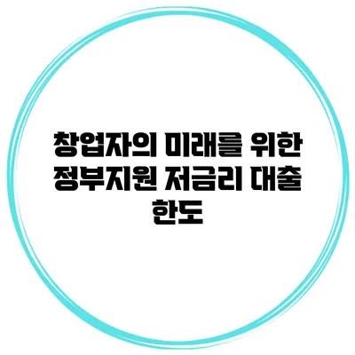 창업자의 미래를 위한 정부지원 저금리 대출 한도