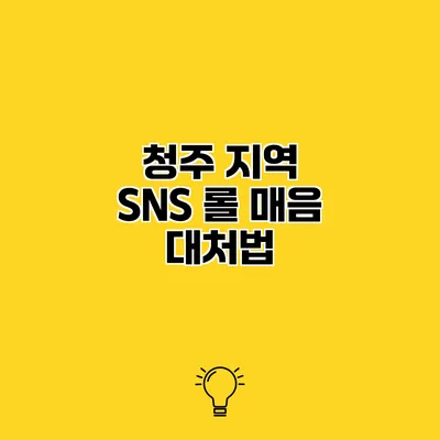청주 지역 SNS 롤 매음 대처법