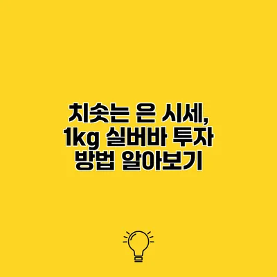 치솟는 은 시세, 1kg 실버바 투자 방법 알아보기