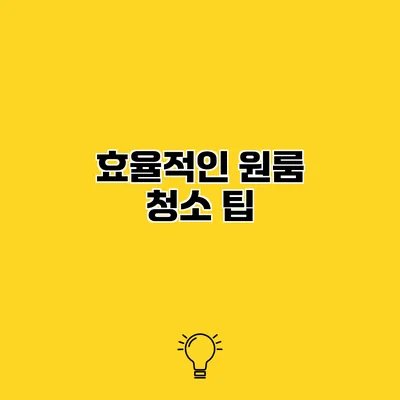 효율적인 원룸 청소 팁