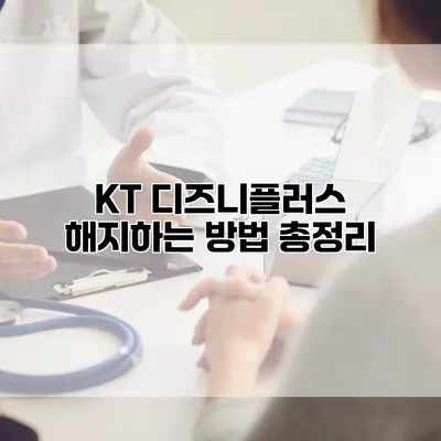 KT 디즈니플러스 해지하는 방법 총정리