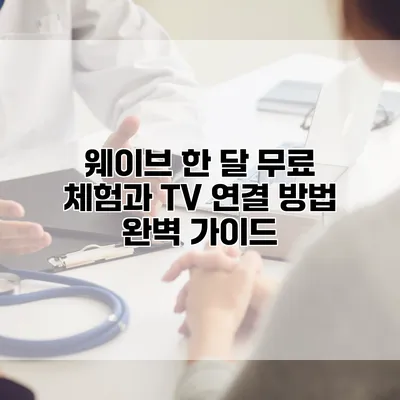 웨이브 한 달 무료 체험과 TV 연결 방법 완벽 가이드